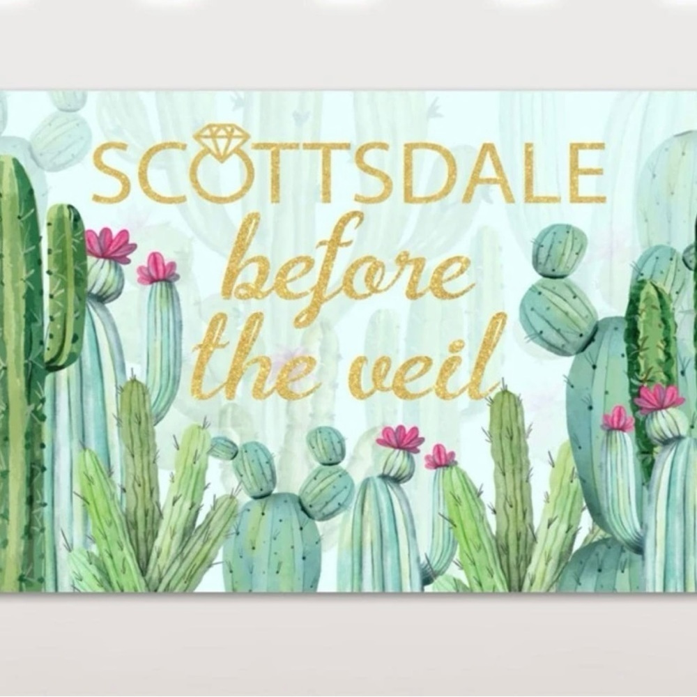 Scottsdale before the veil backdrop